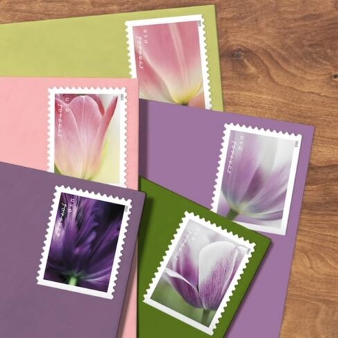 USPS 2023 أزهار التوليب إلى الأبد طوابع بريدية من الدرجة الأولى (20 شريطًا) in Saudi Arabia