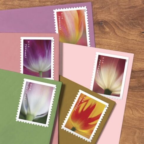 USPS 2023 أزهار التوليب إلى الأبد طوابع بريدية من الدرجة الأولى (20 شريطًا) in Saudi Arabia