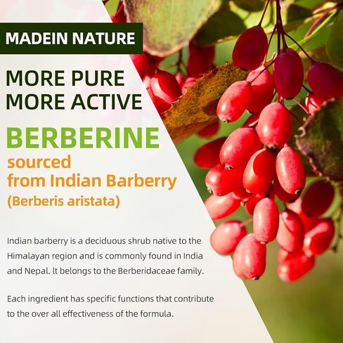 Berberine Gummies with Ceylon Cinnamon 1500mg High Potency Berberine HCL Supplement for Immune and Metabolism Support, Sugar Free Organic Berberine Gummies Strawberry Flavor - 60 Count in Kuwait