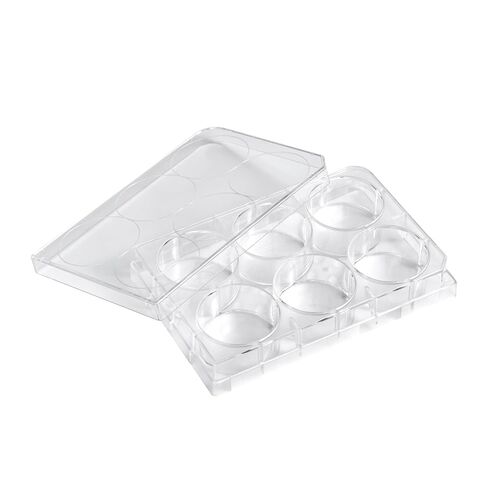 24-Well Polystyrene Cell Culture Plates with Lids, 10 Pcs Individual Wrapped Plates, Sterile, Tissue Culture Treated Plate for Laboratory Chemical Reaction in Kuwait