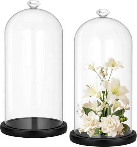 Suclain 2 Pcs Glass Cloche Display Dome with Diamond Handle 10" Clear Decorative Glass Bell Jar with Dark Brown Wooden Base Tabletop Display Case for Plants Toy Collectibles Medal Home Office in Saudi Arabia
