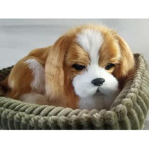 Cavalier King Charles Dog, Realistic, Lifelike Stuffed Interactive Nodding Pet Toy, Companion Pet Puppy with 100% Handcrafted Synthetic Fur