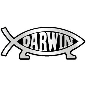 Darwin Fish Plastic Auto Emblem - [Silver][5 1/4'' x 2'']