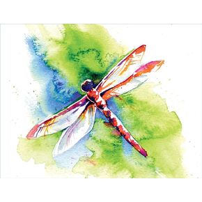 Note Cards - Flying Colors Dragonfly - Set of 12 Premium Blank Note Cards and Matching Envelopes