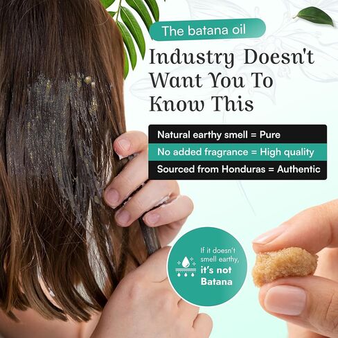 SPOILD Raw Batana Oil for Hair Growth - Sourced from Honduras, Dr. Sebi Approved, Unrefined & 100% Organic - Prevents Hair Loss, Strengthens Hair 2oz in Kuwait