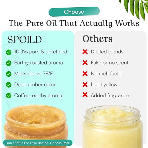 SPOILD Raw Batana Oil for Hair Growth - Sourced from Honduras, Dr. Sebi Approved, Unrefined & 100% Organic - Prevents Hair Loss, Strengthens Hair 2oz in Kuwait