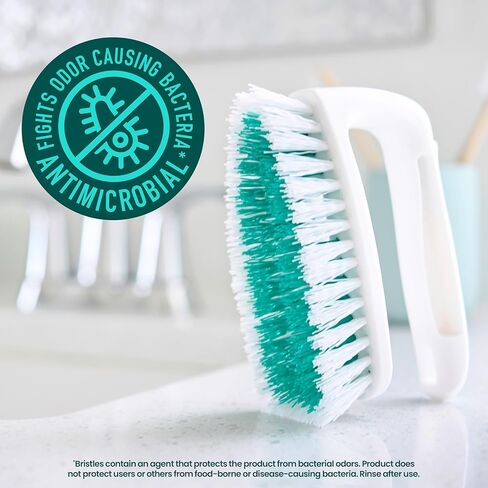 Scotch-Brite All Purpose Brush, For Tile Floors and Walls, Shower Doors, Tubs, Bathroom Fixtures, and More, 6 Count in Kuwait