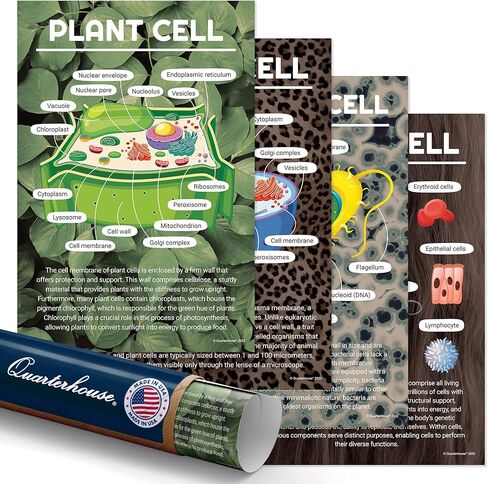 Quarterhouse Cells (Biology) Poster Set, Science Classroom Learning Materials for K-12 Students and Teachers, Set of 4, 12x18, Extra Durable in Kuwait