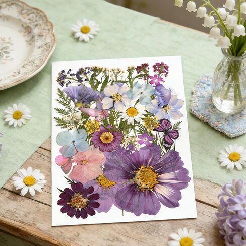 Yuboo 98Pcs White Dried Pressed Flowers for Crafts, Gifts for Mothers Day, Pressed Florals Leaves with Tweezer, Natural Dried Flowers for Resin Molds DIY Art Scrapbooking Candle Nails Phone Case in Kuwait