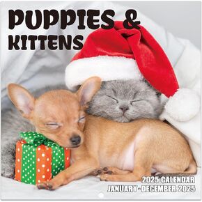 2025 Calendar - Kittens and Puppies Calendar 2025, 12 months from Jan. 2025 - Dec. 2025, 12" x 24" (Open), Monthly Wall Calendar with Thick Paper, Dogs Cats Cute Baby Animals in Kuwait