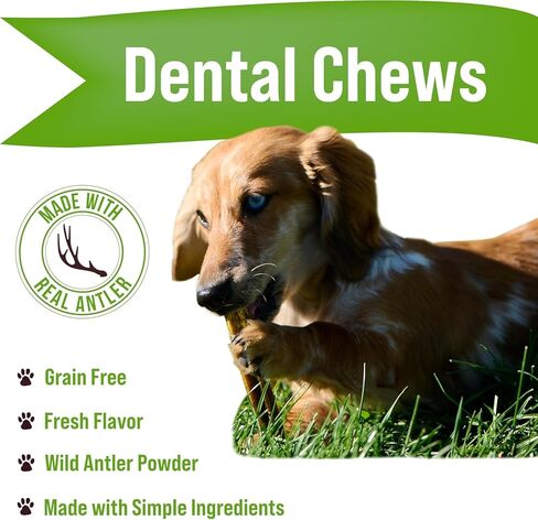 Buck Bone Organics Natural Dental Chew 12 Chews in Pack in Kuwait