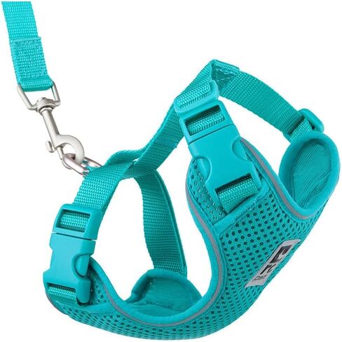 RC Pets Adventure Kitty Harness Includes Adjustable, Airmesh Fabric, 6' Leash and D-Ring Cat Walking Harness | Lil Heart, Small in Kuwait