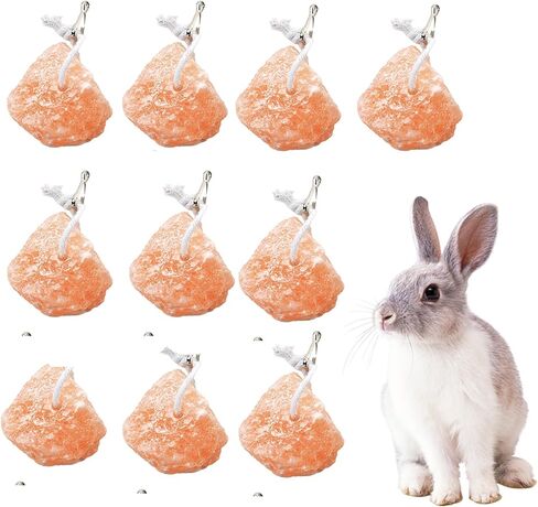 kathson Small Animal Himalayan Salt Lick Block Rabbit Salt Blocks Natural Mineral Salts Chew Treat Supplies for Bunny Hamsters Chinchilla Squirrels Guinea Pig Ferret (6 PCS) in Kuwait