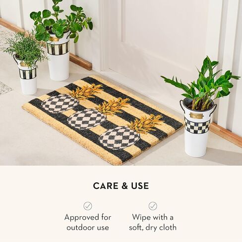 دلاء الزهور من ماكنزي-تشايلدز، مجموعة مزهرية زهور لطيفة، تارتاستيك، مجموعة من 3 قطع in Kuwait