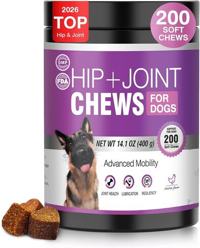 Glucosamine for Dogs Joint Support Dog Hip and Joint Supplement Chondroitin Chews and Treats with MSM Hemp Dog Joint Pain Supplements in Kuwait