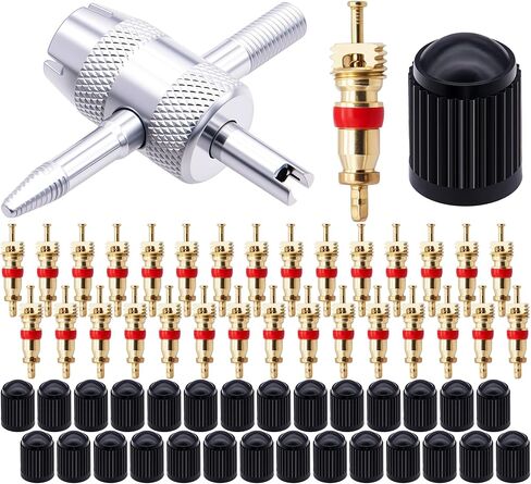 100pcs صمامات الإطارات ، النحاس Schrader Tyre Valve Cores Universal لمعظم الدراجات النارية لتكييف الهواء ، استبدال الإطارات in Saudi Arabia