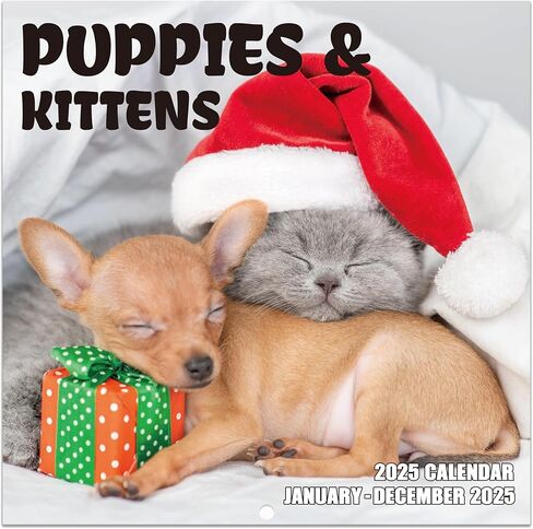 2025 Calendar - Kittens and Puppies Calendar 2025, 12 months from Jan. 2025 - Dec. 2025, 12" x 24" (Open), Monthly Wall Calendar with Thick Paper, Dogs Cats Cute Baby Animals in Kuwait