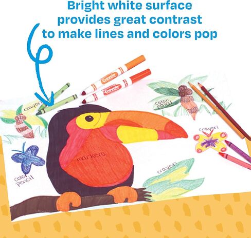 ورق رسم ساكس سلفيت، 70 رطل، 9 × 12 بوصة، أبيض إضافي، عبوة من 500 قطعة - 206309 in Kuwait