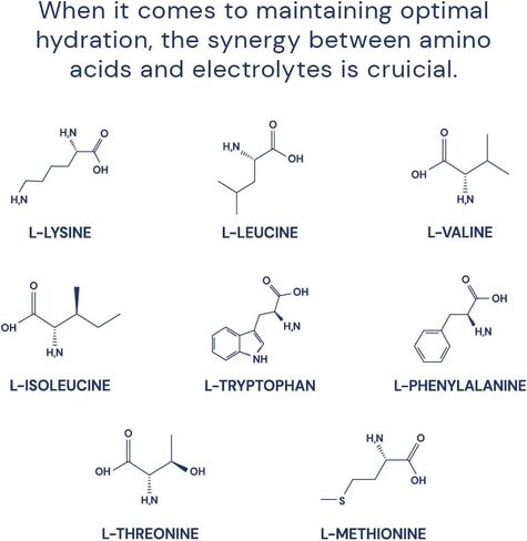 مسحوق إلكتروليتات بيرفيكت أمينو من بودي هيلث، مسحوق ترطيب، مزيج مشروب إلكتروليت خالي من السكر، مسحوق إلكتروليتات كيتو، غير معدل وراثيًا، ليمون ليموني (30 وجبة) in Kuwait