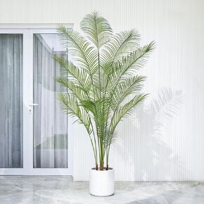 Artificial Palm Tree 6ft, Fake Tropical Palm Tree with White Planter, Faux Areca Palm Tree with Lifelike Leaves & Texture Trunk for Home Office Indoor Outdoor Decor. in Kuwait