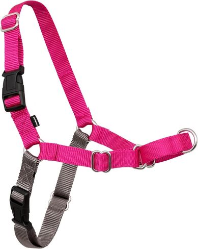 PetSafe Easy Walk No-Pull Dog Harness - The Ultimate Harness to Help Stop Pulling - Take Control & Teach Better Leash Manners - Helps Prevent Pets Pulling on Walks, Small/Medium, Raspberry/Gray in Kuwait