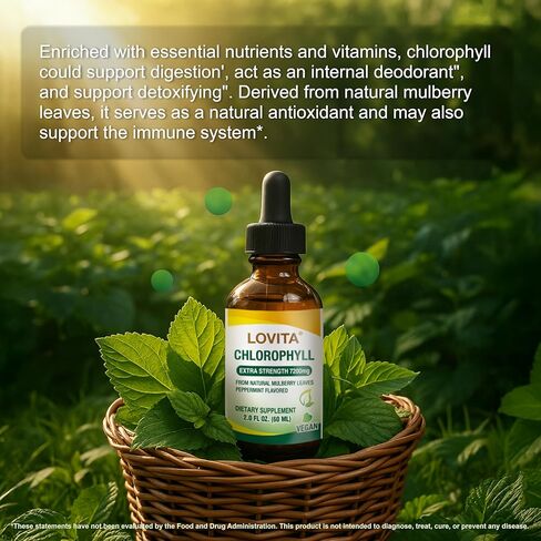 Lovita Chlorophyll Liquid 120mg per mL, High Potency Concentrated | Internal Deodorant, Skin Health, Energy Booster & Immune Support | from Natural Mulberry Leaf | 2 Fl Oz in Kuwait