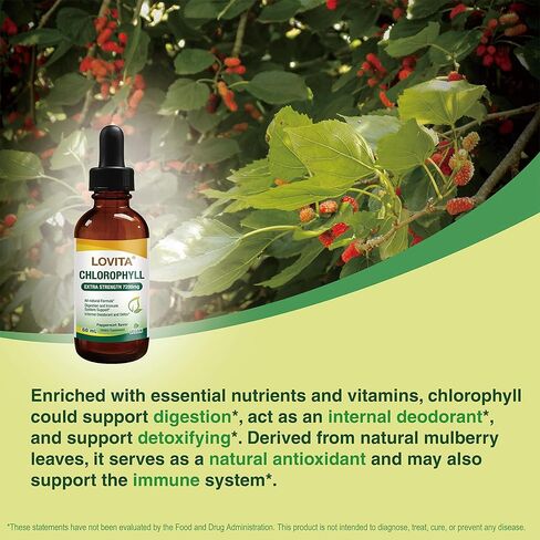 Lovita Chlorophyll Liquid 120mg per mL, High Potency Concentrated | Internal Deodorant, Skin Health, Energy Booster & Immune Support | from Natural Mulberry Leaf | 2 Fl Oz in Kuwait