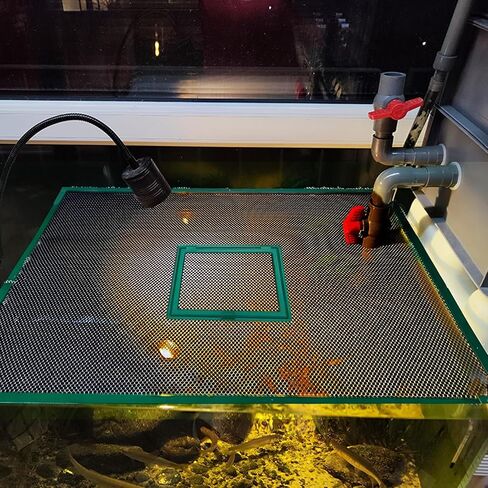 Fish Tank Lid Magnetic Fish Tank Lid Aquarium Net Cover with Feeding Window 5-50 Gallon Aquarium Lid Anti-Jumping Net for Fish 11.8 FT DIY Magnetic Fish Tank Cover Aquarium Cover in Kuwait