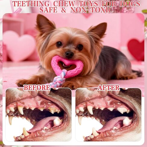 EXPAWLORER 15 Pack Christmas Dog Toys Bulk Set - Dog Toys Christmas Pack, Durable Squeaky Rope Ball Toys, Indestructible Rubber Chew Toys, Interactive Toys for Small Medium Large Aggressive Chewers in Kuwait