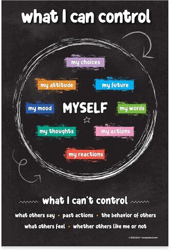ZOCO Things I Can Control Poster — Mental Health Awareness Item — School Counselor Office Must Haves — Growth Mindset, Positive Posters for Teens — LAMINATED, 12x18 inches in Kuwait