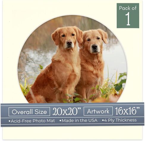 CountryArtHouse Dark Purple Acid Free 20x20 Circle Picture Frame Mat with White Core Bevel Cut for 16x16 Pictures - Fits 20x20 Frame - Pack of 1 Matboard in Kuwait