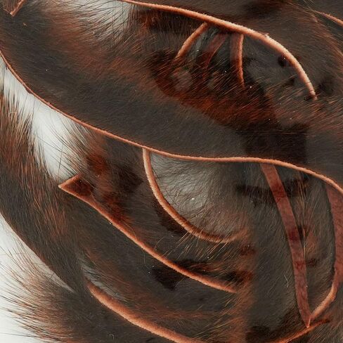 الصدأ الصنوبر الصنوبر الصدأ in Kuwait