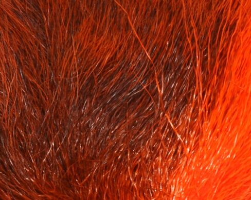 Hareline Petite Bucktail in Kuwait