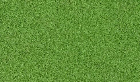 Woodland Scenics Turf 18 to 25.2 Cubic Inches-Green Grass - Fine in Kuwait