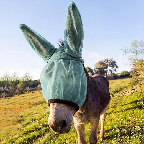 Mini Donkey Fly Mask with Ears Protection Breathable Mule Fly Mask with Long Ears Protection from Insects and Bugs Soft Mesh Fabric with Adjustable Fastener in Saudi Arabia