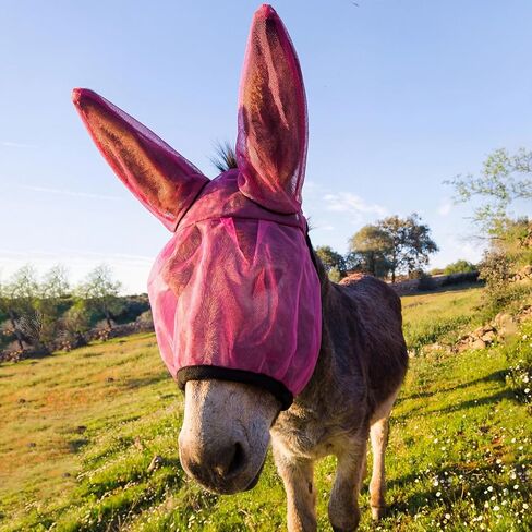 Mini Donkey Fly Mask with Ears Protection Breathable Mule Fly Mask with Long Ears Protection from Insects and Bugs Soft Mesh Fabric with Adjustable Fastener in Saudi Arabia