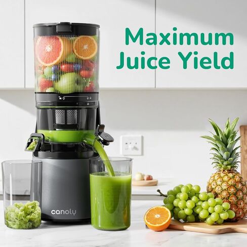 Cold Press Juicer, Masticating Juicer with Quiet Motor, Supports Whole Fruits and Vegetables, Reverse Function, Easy to Clean with Brush in Kuwait