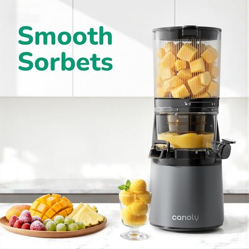 Cold Press Juicer, Masticating Juicer with Quiet Motor, Supports Whole Fruits and Vegetables, Reverse Function, Easy to Clean with Brush in Kuwait