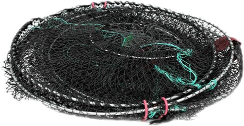 برومار in Kuwait