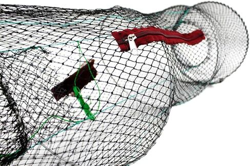 برومار in Kuwait