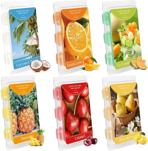 Wax Melt Molds, 6 Cavity Wax Melt Containers, 100 Pack Empty Clear Plastic Wax Melt Clamshells for Tarts Wax Melts in Kuwait