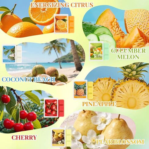 Wax Melt Molds, 6 Cavity Wax Melt Containers, 100 Pack Empty Clear Plastic Wax Melt Clamshells for Tarts Wax Melts in Kuwait