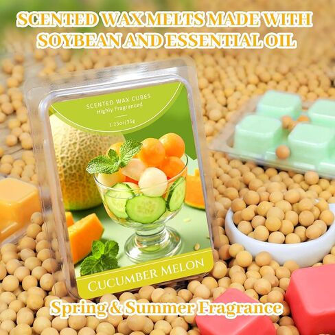Wax Melt Molds, 6 Cavity Wax Melt Containers, 100 Pack Empty Clear Plastic Wax Melt Clamshells for Tarts Wax Melts in Kuwait