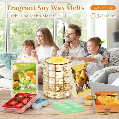 Wax Melt Molds, 6 Cavity Wax Melt Containers, 100 Pack Empty Clear Plastic Wax Melt Clamshells for Tarts Wax Melts in Kuwait