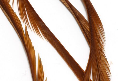 Goose Biot Combo Packs - Fly Tying in Kuwait