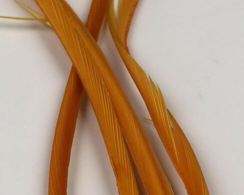Goose Biot Combo Packs - Fly Tying in Kuwait