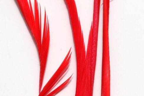 Goose Biot Combo Packs - Fly Tying in Kuwait