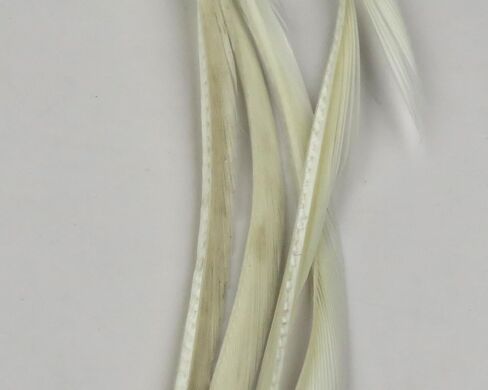 Goose Biot Combo Packs - Fly Tying in Kuwait