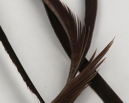 Goose Biot Combo Packs - Fly Tying in Kuwait