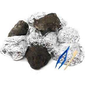 كريات بومة الحظيرة المميزة، كبيرة: 1.5 بوصة - 2.5 بوصة (عبوة من قطعة واحدة) - يتضمن مخطط تعريف العظام مجانًا وملقطًا واختيار مجداف ودليل التدريس! in Kuwait